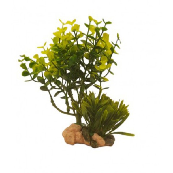 ΔΙΑΚΟΣΜΗΤΙΚΟ ΦΥΤΟ ΕΝΥΔΡΕΙΟΥ 18CM